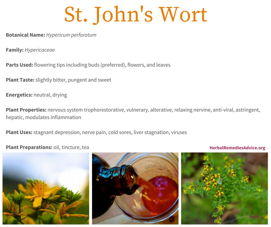St Johns Wort Health Benefits