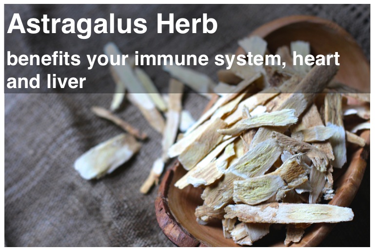 Astragalus Root