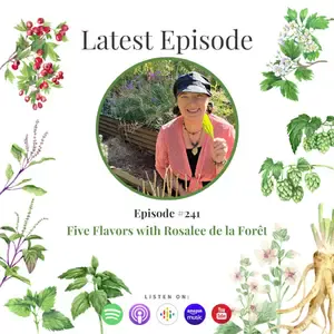5 flavors podcast
