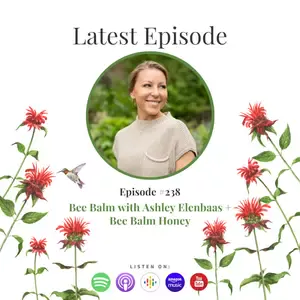 Bee Balm for Fevers, Burns, and Nerve Pain with Ashley Elenbaas
