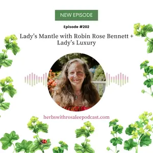 Lady’s Mantle: Uses, Herbal Wisdom, and Benefits