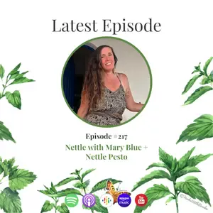 Stinging Nettle with Mary Blue