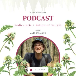 Pedicularis for Deep Muscle Release with Alex Williams