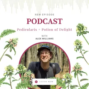 Pedicularis for Deep Muscle Release with Alex Williams