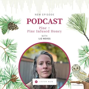 Pine with Liz Neves