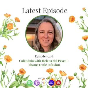 Calendula with Helena del Pesco