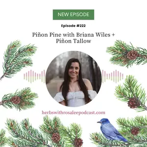 Pinon Pine with Briana Wiles