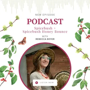  Spicebush with Rebecca Beyer