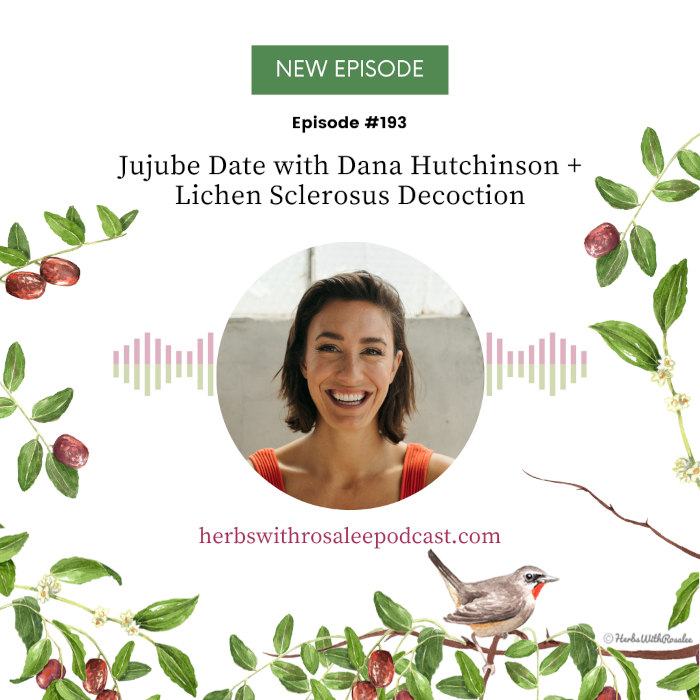 Benefits of Jujube Dates with Dana Hutchinson