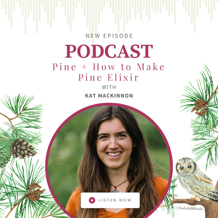 Pine Tree with Kat Mackinnon