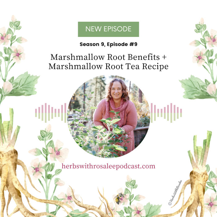 Marshmallow Root Benefits