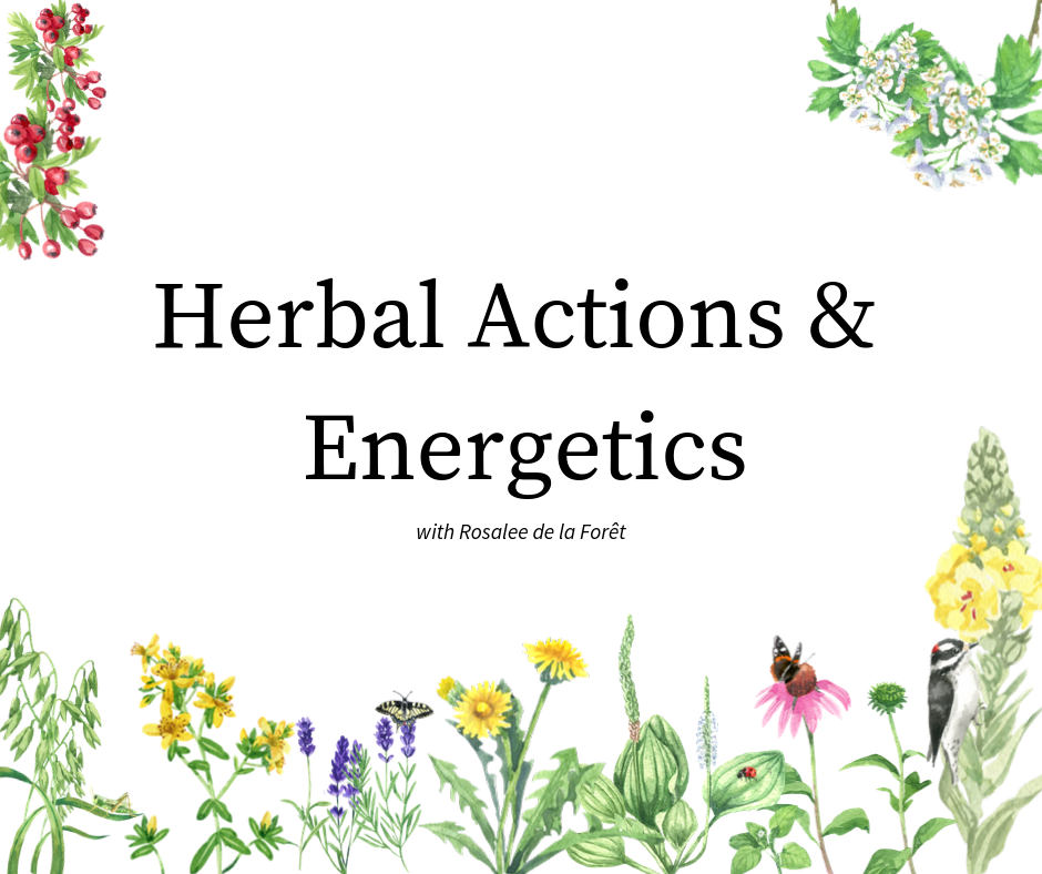 Herbal Energetics Chart