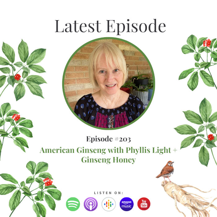 American Ginseng with Phyllis Light