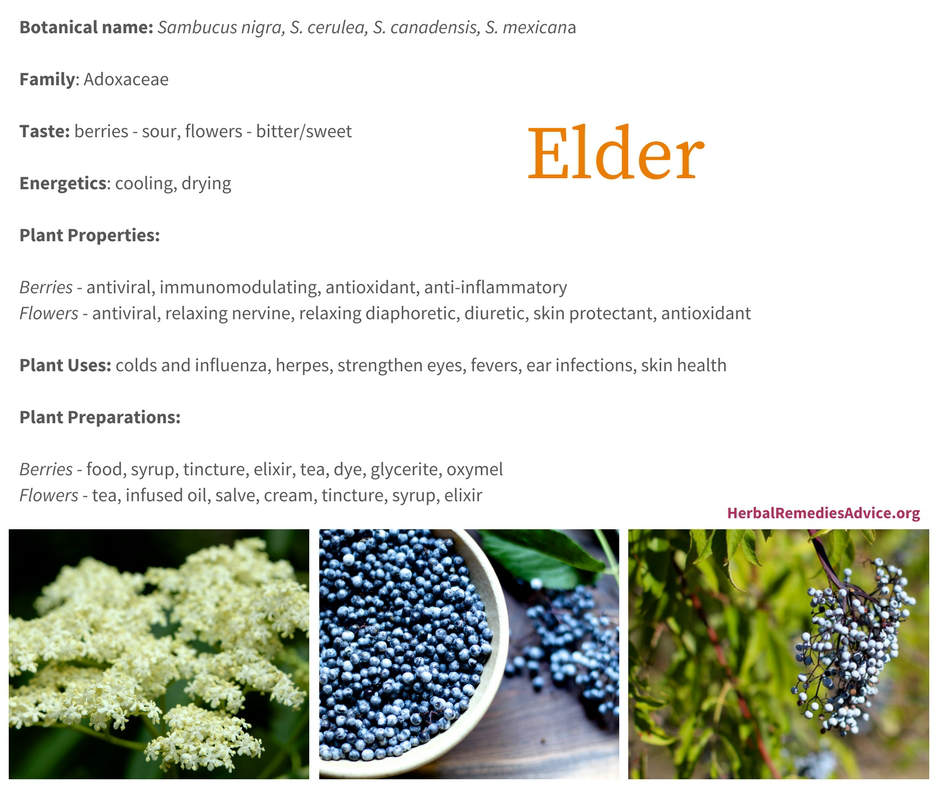 Elderberry Benefits