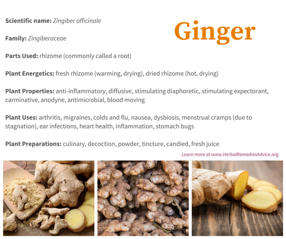 Ginger Benefits for Skin: Uses, Treatments, and Side Effects