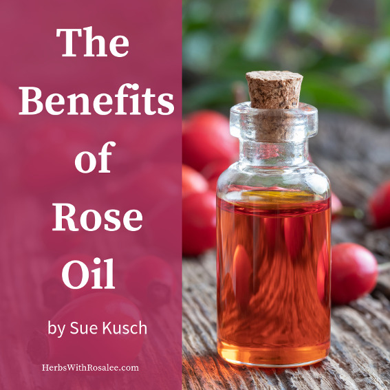 rose hips oil