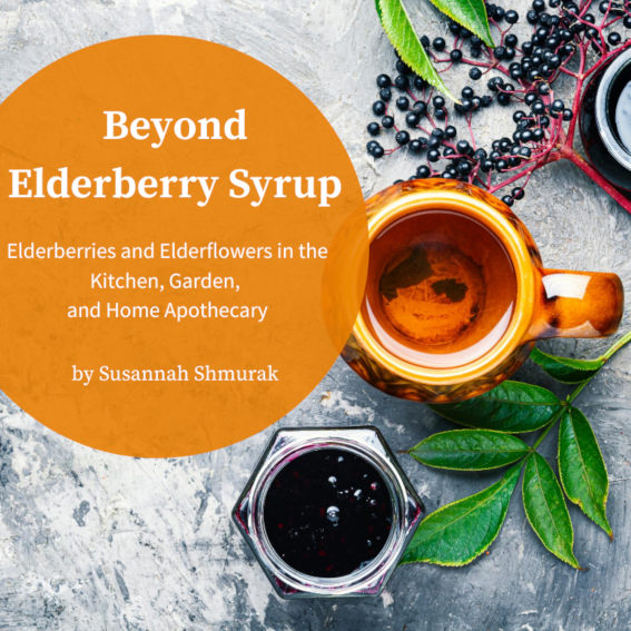 Beyond Elderberry Syrup