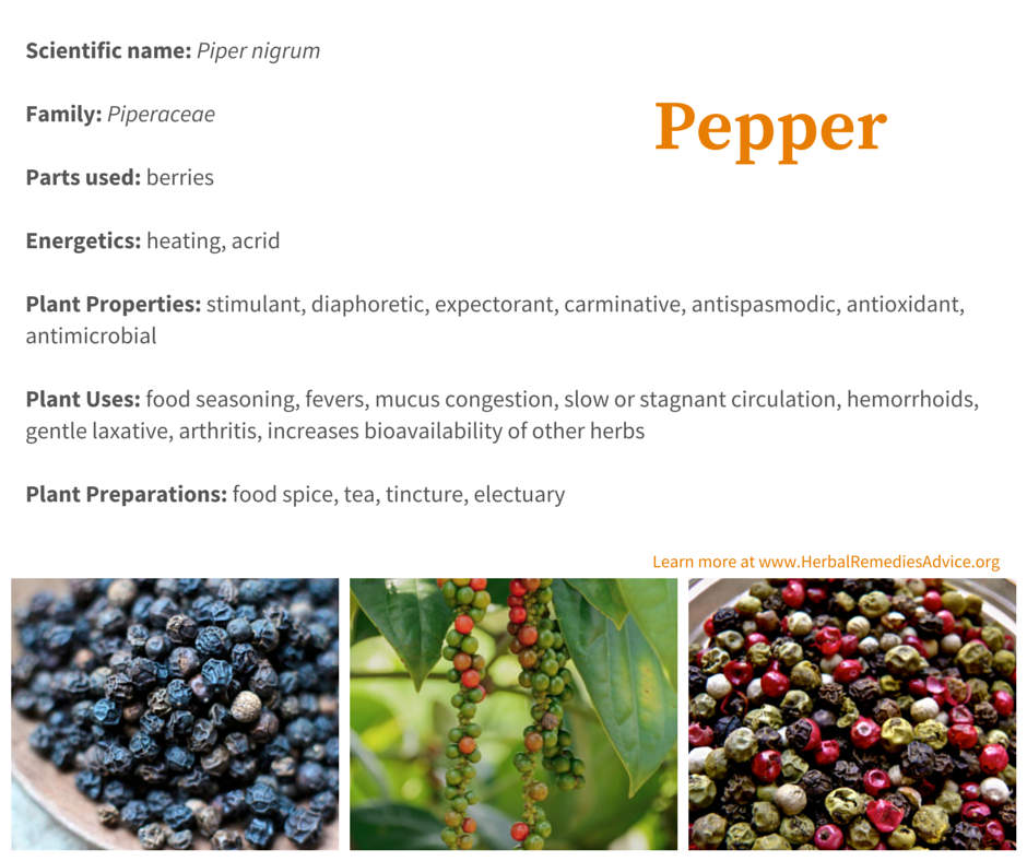 Black Pepper & Herbs