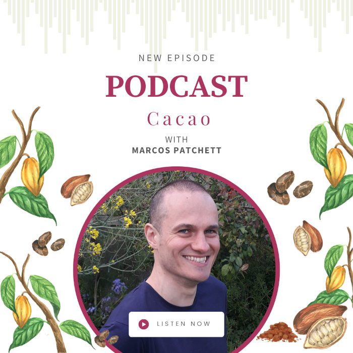 Cacao with Marcos Pachett