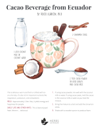 cacao beverage recipe from ecuador