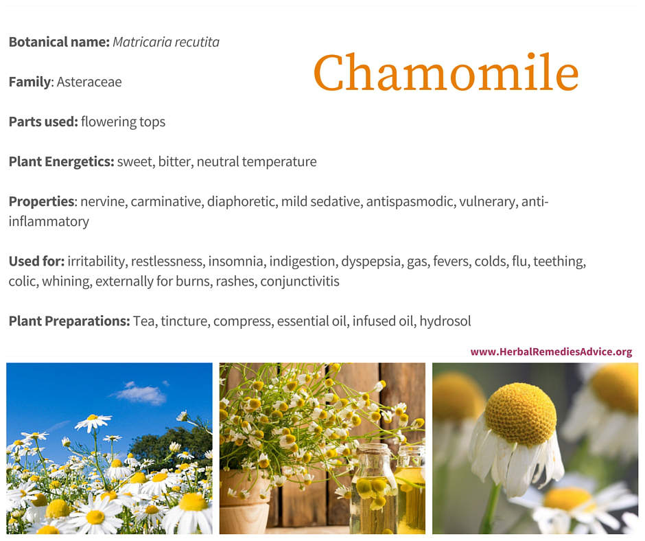 Chamomile Benefits
