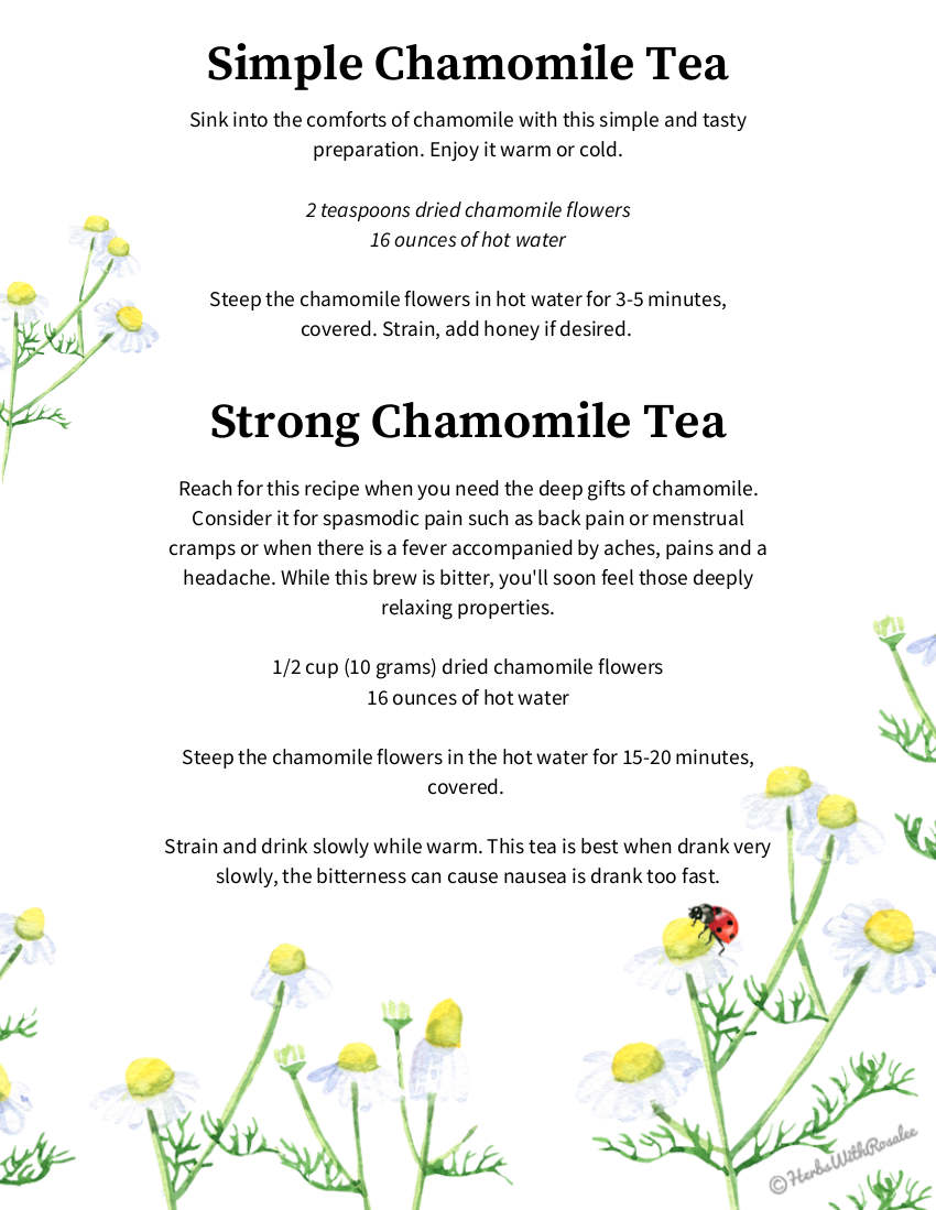 chamomile tea recipe