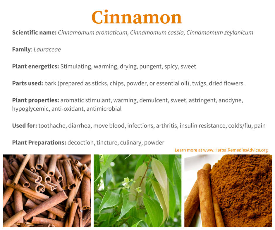Cinnamon Facts