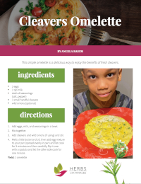 cleavers omelette recipe