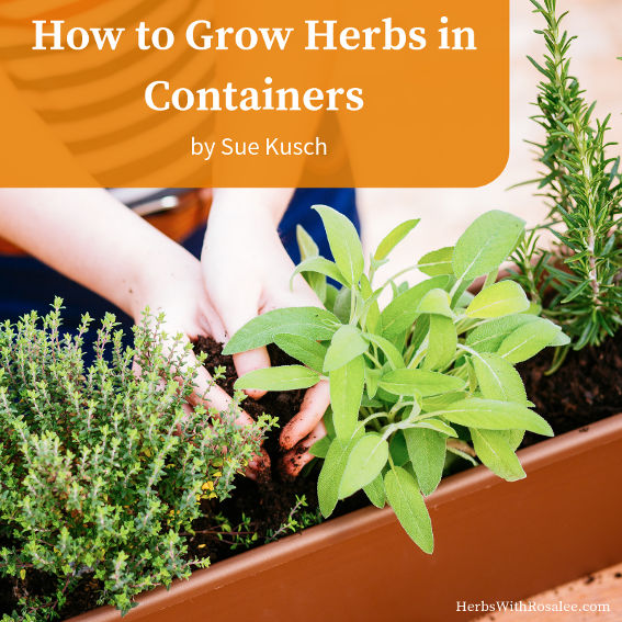 container gardening