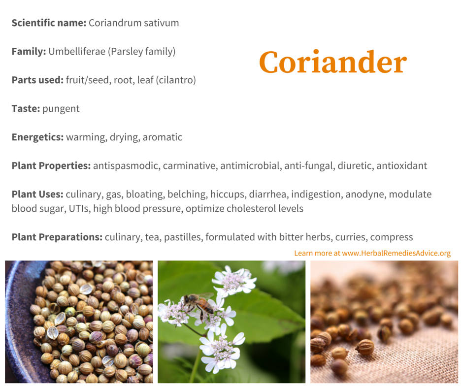 Coriander Benefits