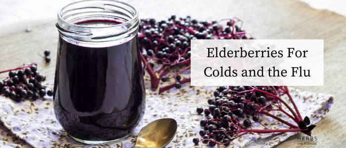 elderberry for colds