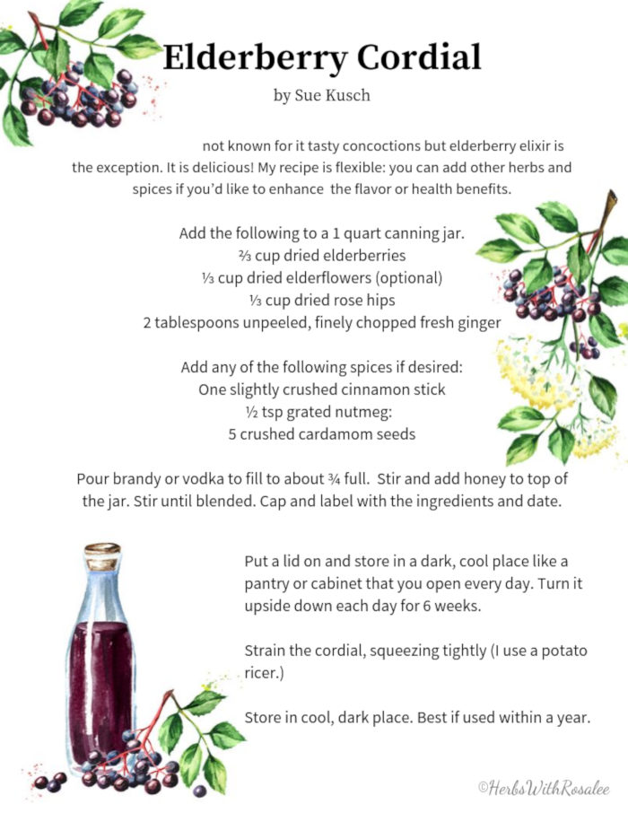 elderberry cordial recipe