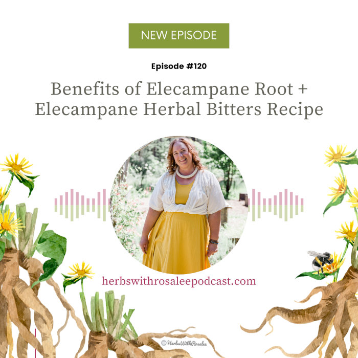 Elecampane Podcast Episode