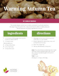 Warming Autumn Tea