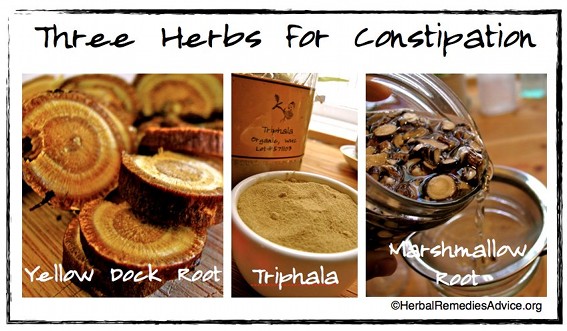 Herbs for Constipation