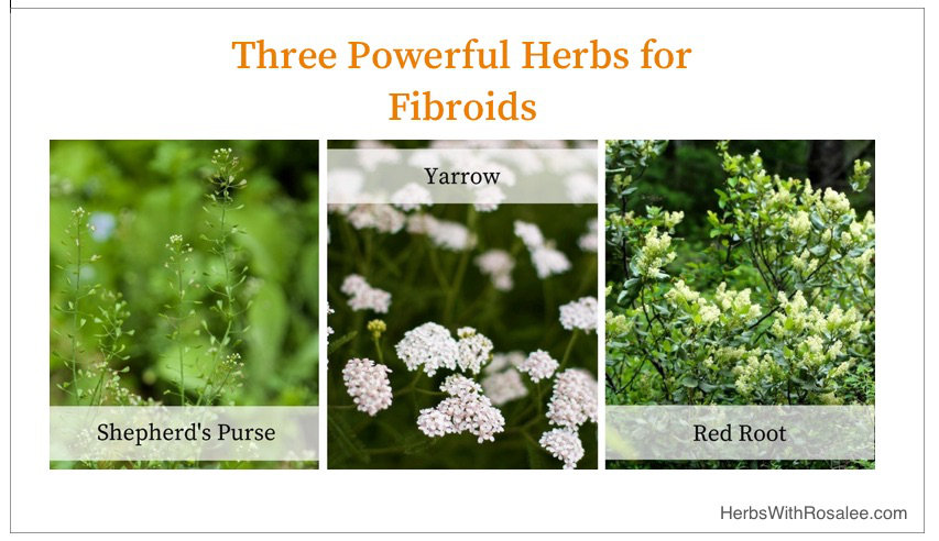 natural remedies for fibroids