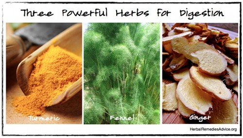 Powerful Herbs for Digestion