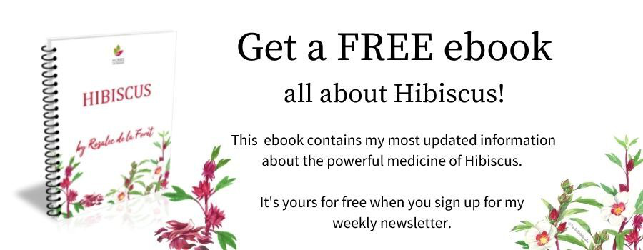 hibiscus ebook