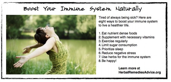 Immune system boosters are essential to maintaining vibrant health.
