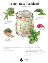 Lemon Balm Rose Tea Recipe