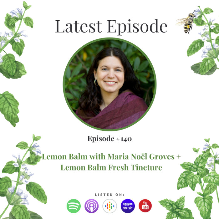 Maria Noel Groves Lemon Balm Herbs