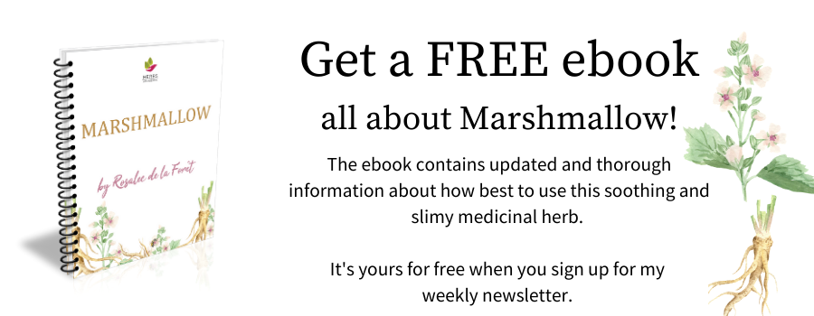 marshmallow ebook banner