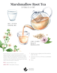 Mashmallow Root Tea Recipe