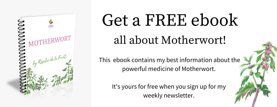 Motherwort ebook
