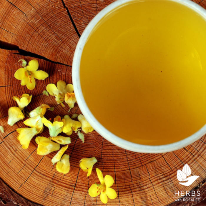 Mullein tea benefits of mullein