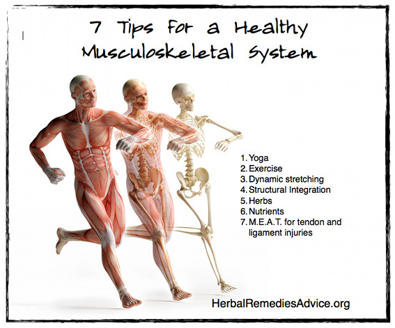 7 tips for a healthy musculoskeletal system