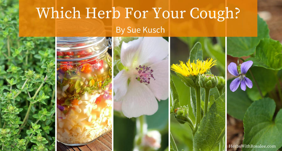 herbal remedies for coughs