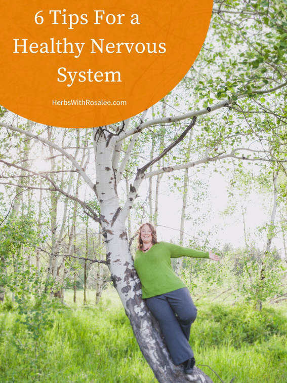 healthy nervous system