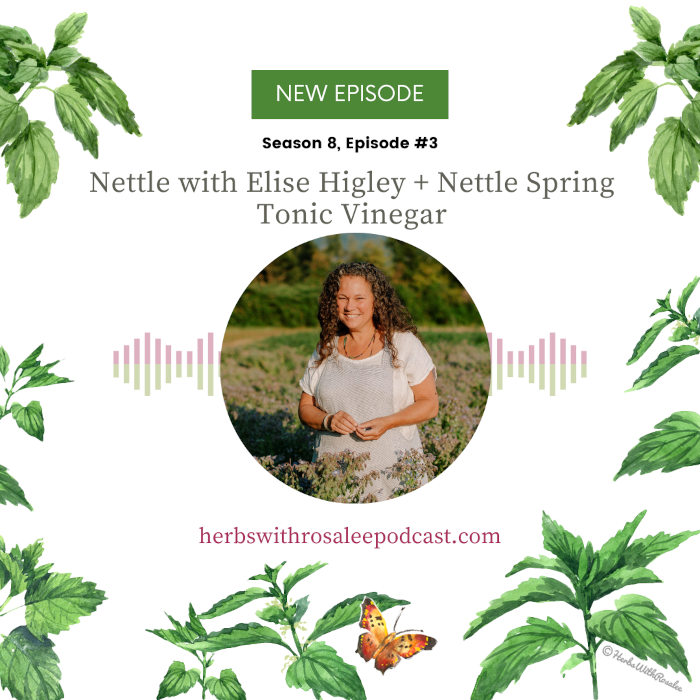 Stinging Nettle with Elise Higley