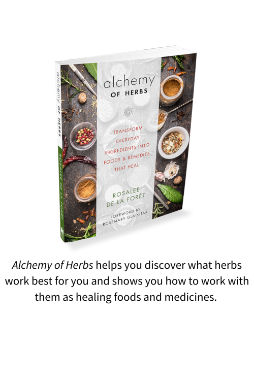 Alchemy of Herbs Chapter